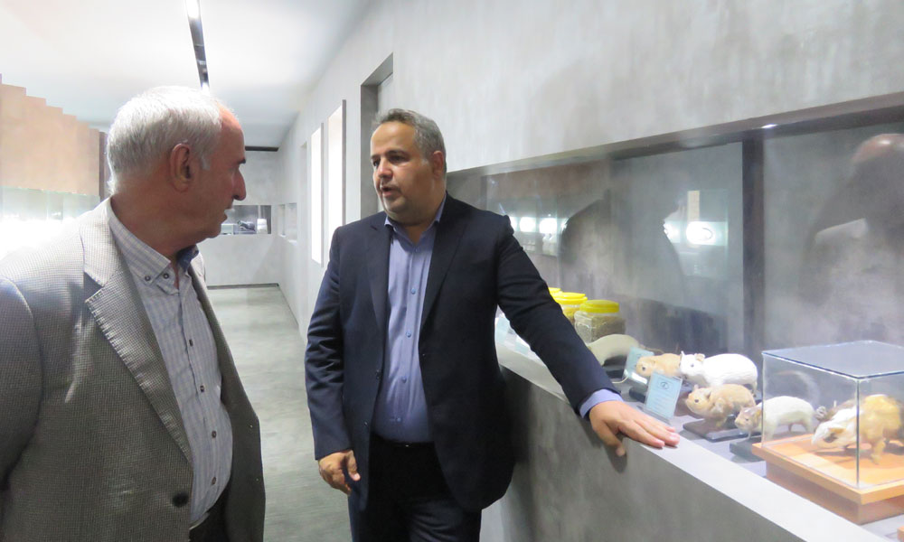 The fourth meeting of the Central Council of the Veterinary System Organization and a visit to the Razi Institute/Sixth session/26th August 2025-image-1