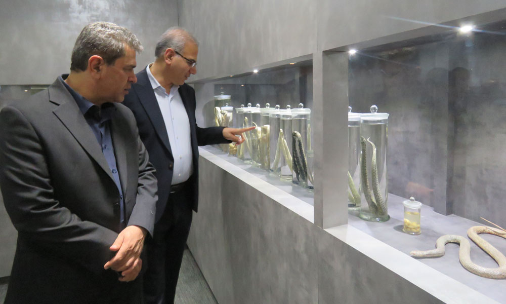 The fourth meeting of the Central Council of the Veterinary System Organization and a visit to the Razi Institute/Sixth session/26th August 2025-image-1