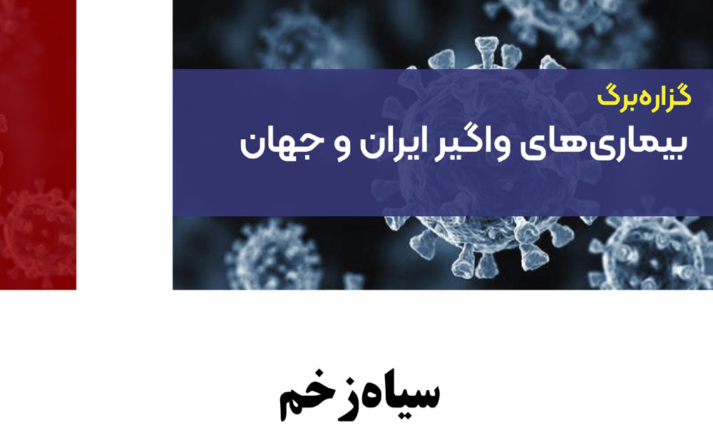 از "بیماری سیاه زخم" چه میدانید
