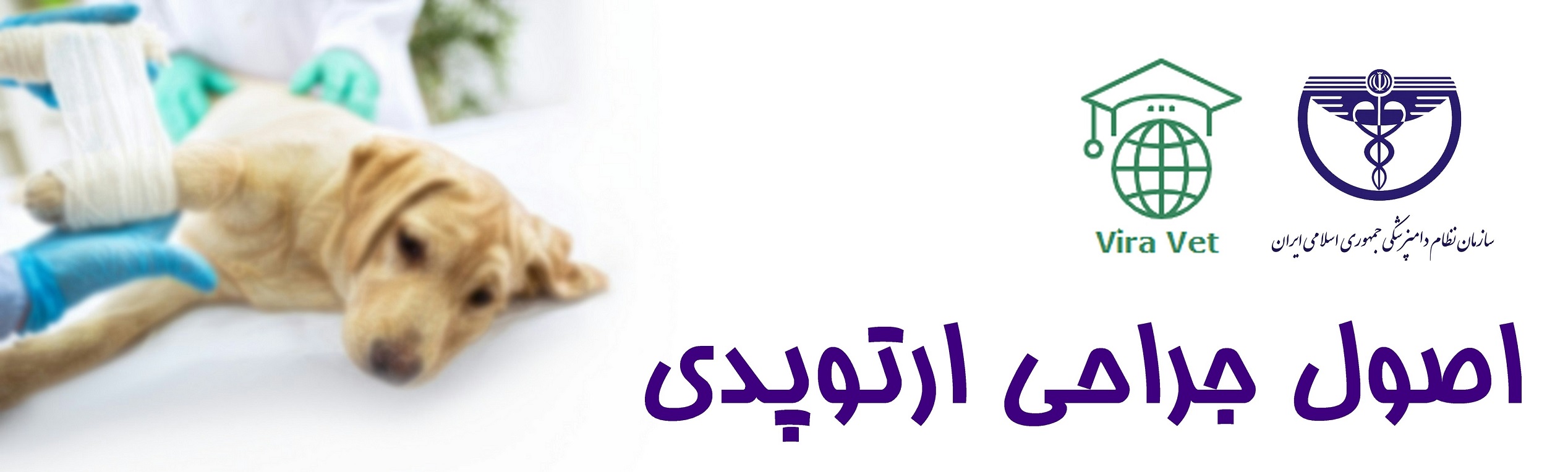 Principles of orthopedic surgery